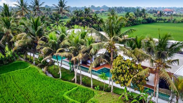 Who and Where Books Accommodation in Bali?