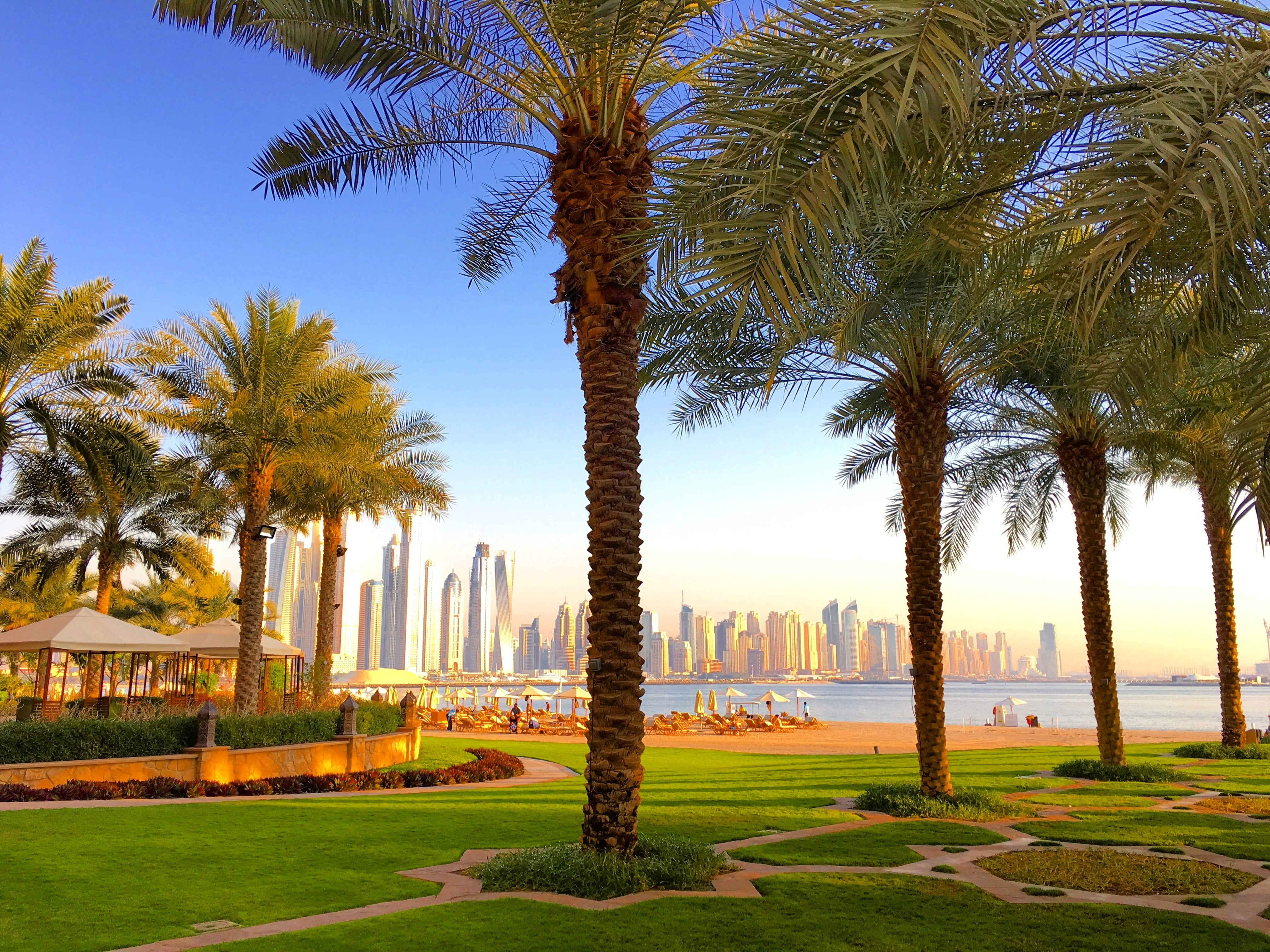 Оазис в пустыне: 3 самых зеленых района для семейной жизни в Дубае