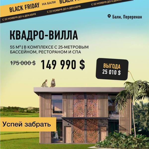 Black Friday!