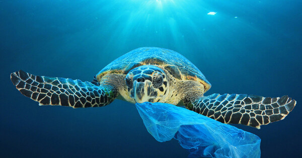 Say "no" to plastic